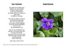 Das-Veilchen-Goethe.pdf